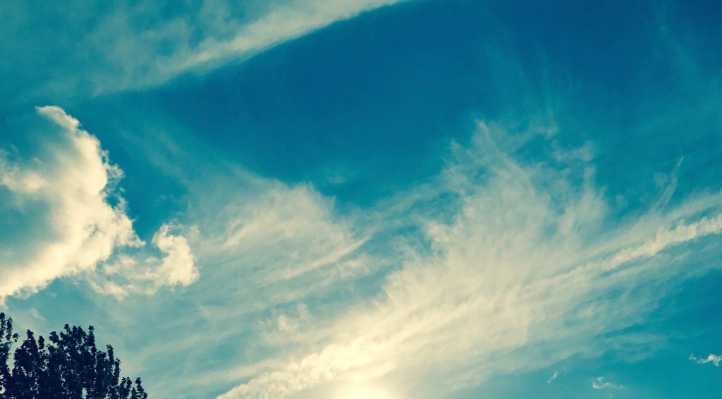 EXPeriencing “Quarto” by Adrienne Rich